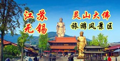 肏网站大鸡吧江苏无锡灵山大佛旅游风景区